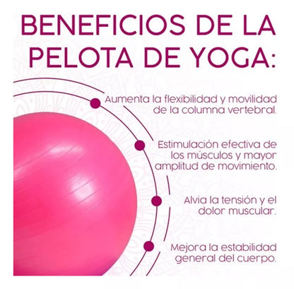 Pelota Pilates 55cm Pelota Yoga Pelota Pilates Ejercicio